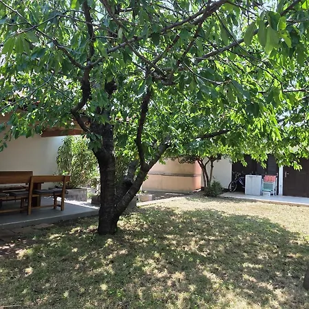 House Hlad