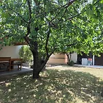 House Hlad